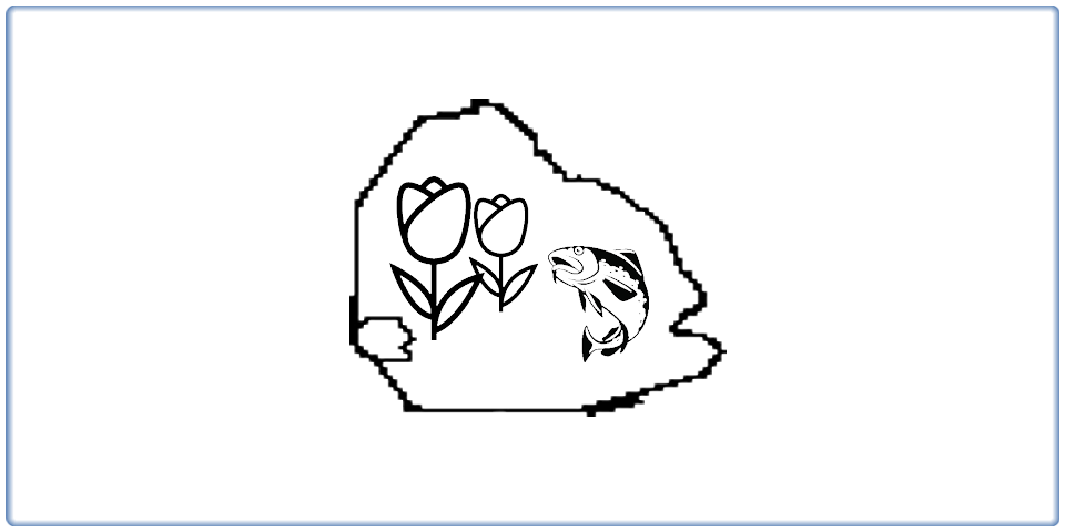 Dagtocht Tulpenfestival & Urker vismenu Noordoostpolder